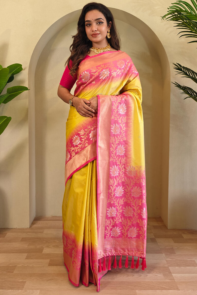 Naples Yellow Banarasi Silk Saree with Designer Chaap Border